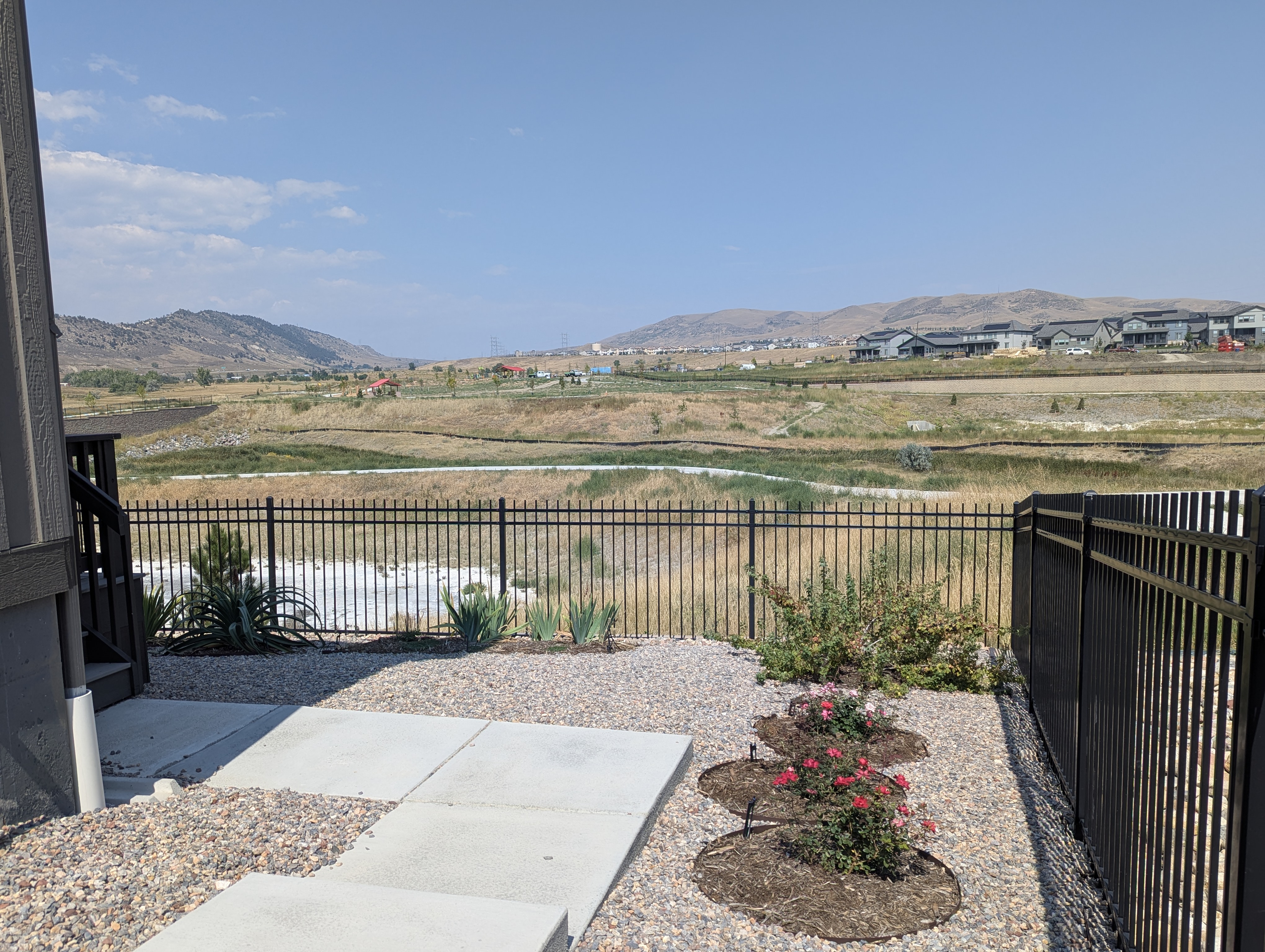 Morrison, Colorado, Torch Yucca